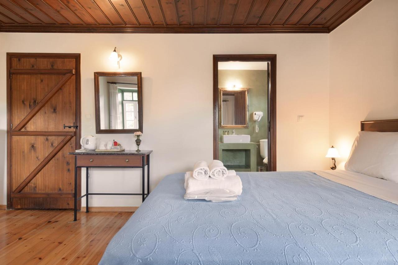 Hotel Ameliko Zagori à Áno Pediná Extérieur photo