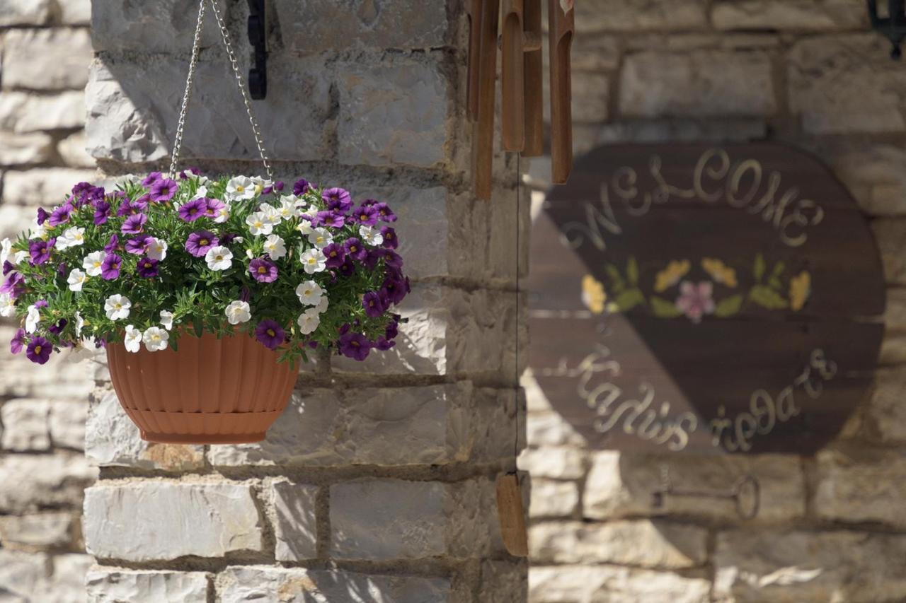 Hotel Ameliko Zagori à Áno Pediná Extérieur photo